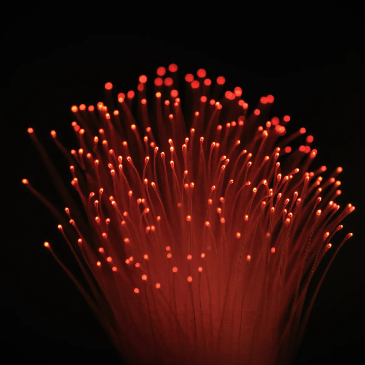Un haz de fibras ópticas abriéndose con las puntas encendidas en rojo